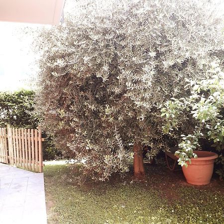 Beb Ulivo Bed & Breakfast Santa Giuletta Eksteriør bilde